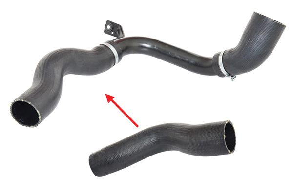 BUGIAD Crijevo turba